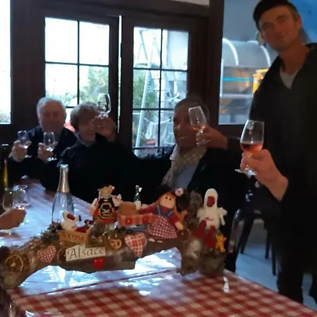 Tatil Evi La Maison Fleurie Du Florimont Ingersheim